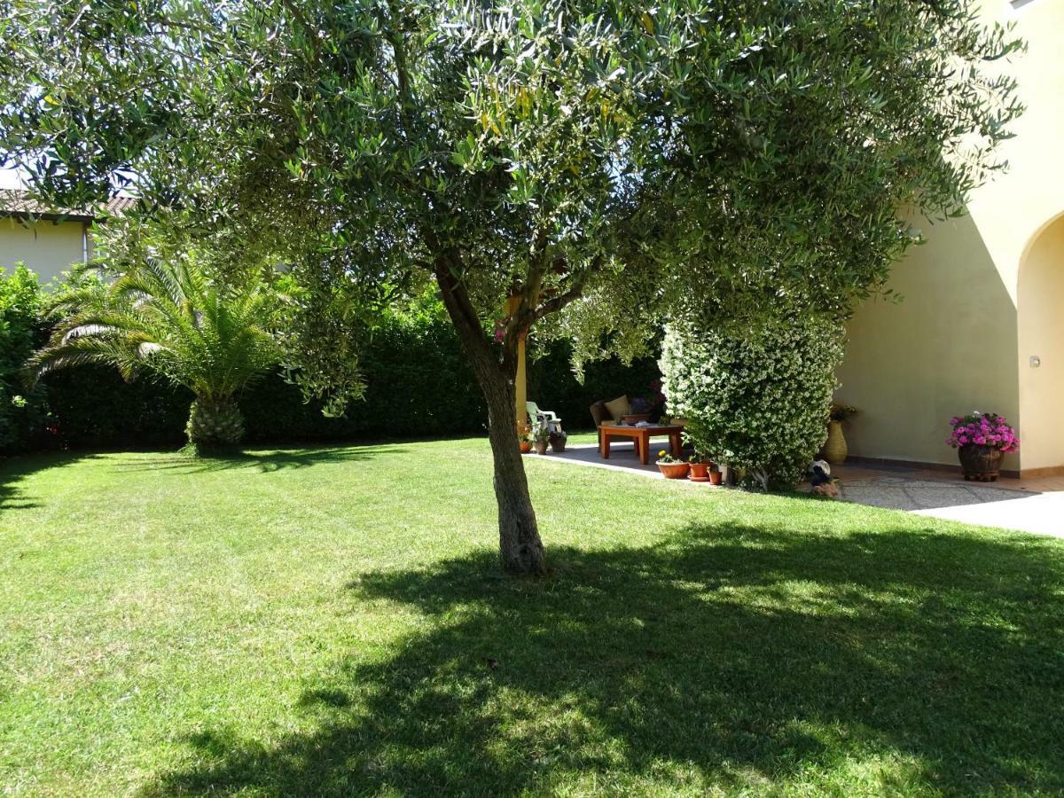 B&B La Dolce Vita Marsiliana Exterior foto